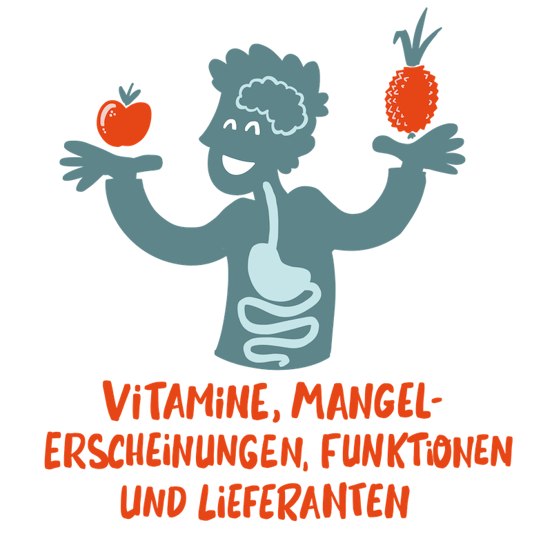 1.4 Vitamine Mangelerscheinungen Mit Text